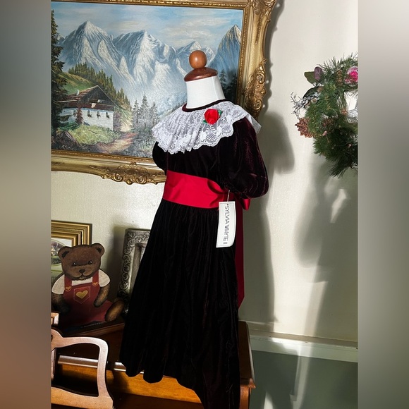 ❤️ Rare Vintage Sylvia Whyte
Velvet Lace Collar Dress Girls
Size 6 NWT 68.00 - Picture 2 of 6